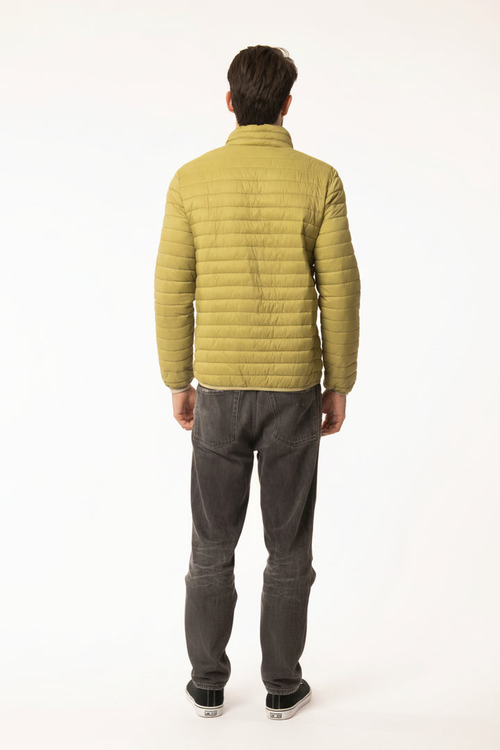 GIUBBINO ECOPIUMA 8519